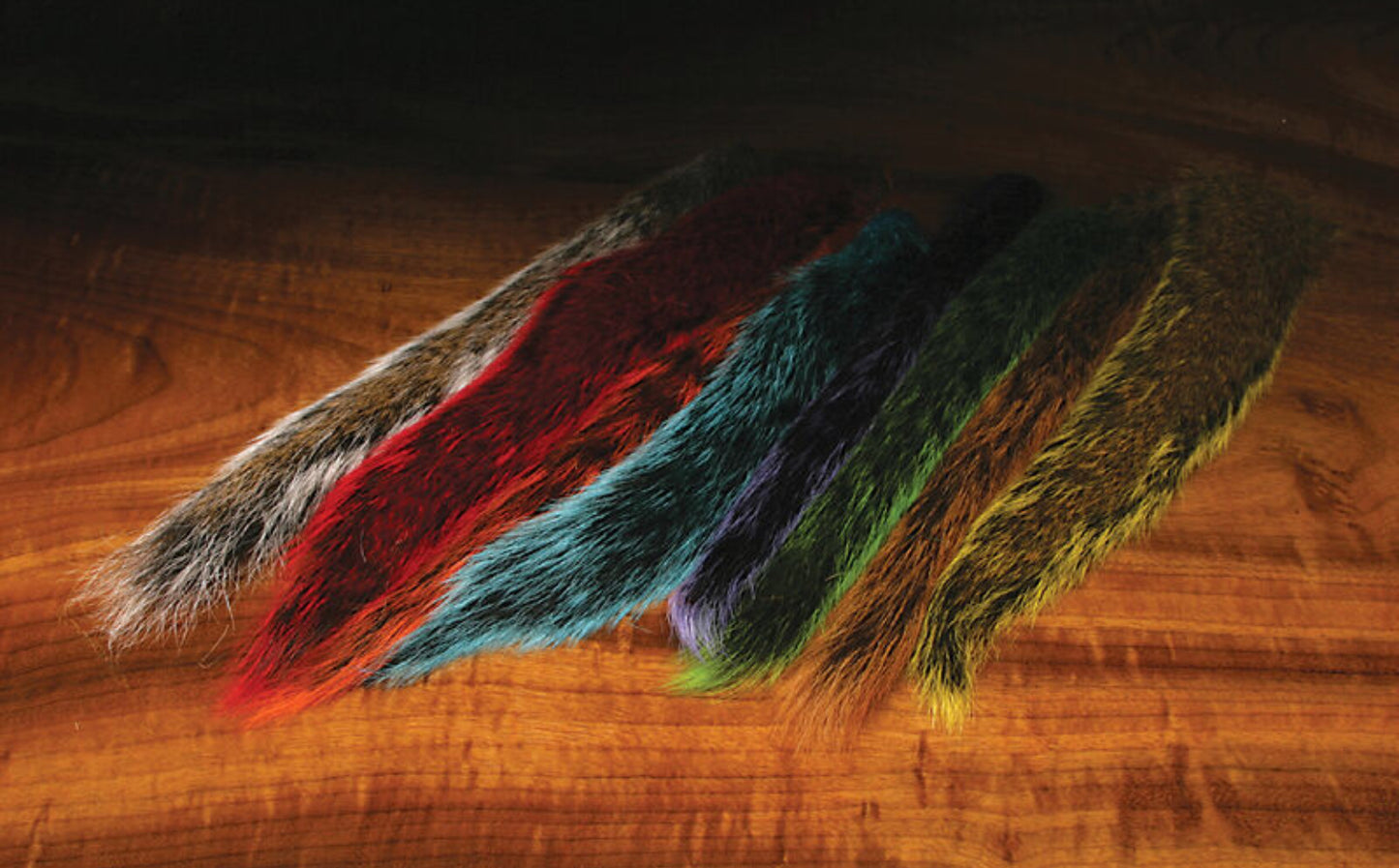 Fox Squirrel Tail
