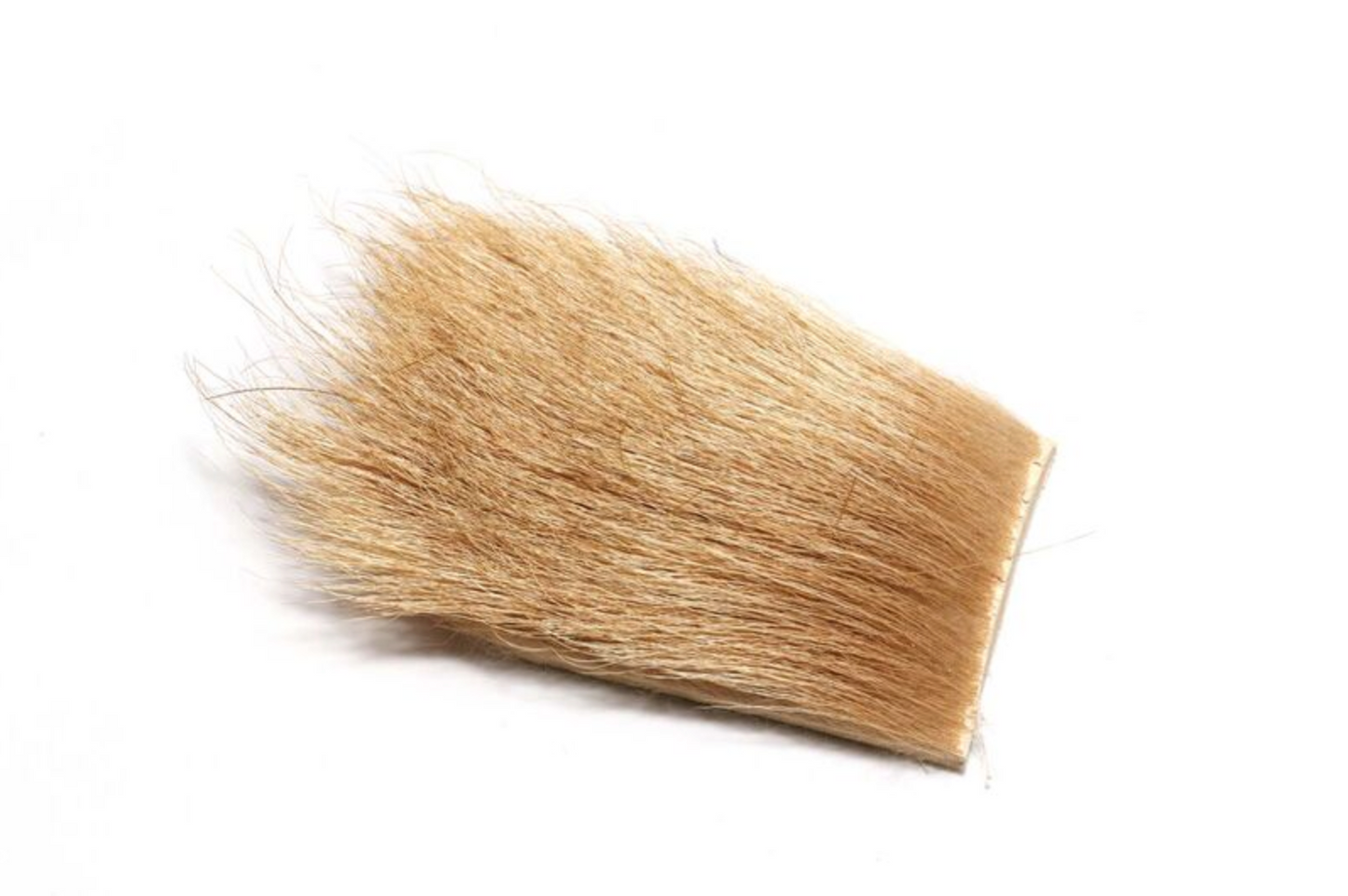 bleached elk backstrap over white