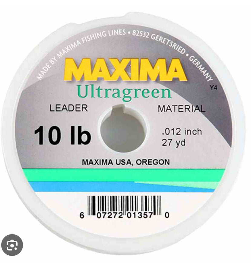 Maxima Leader