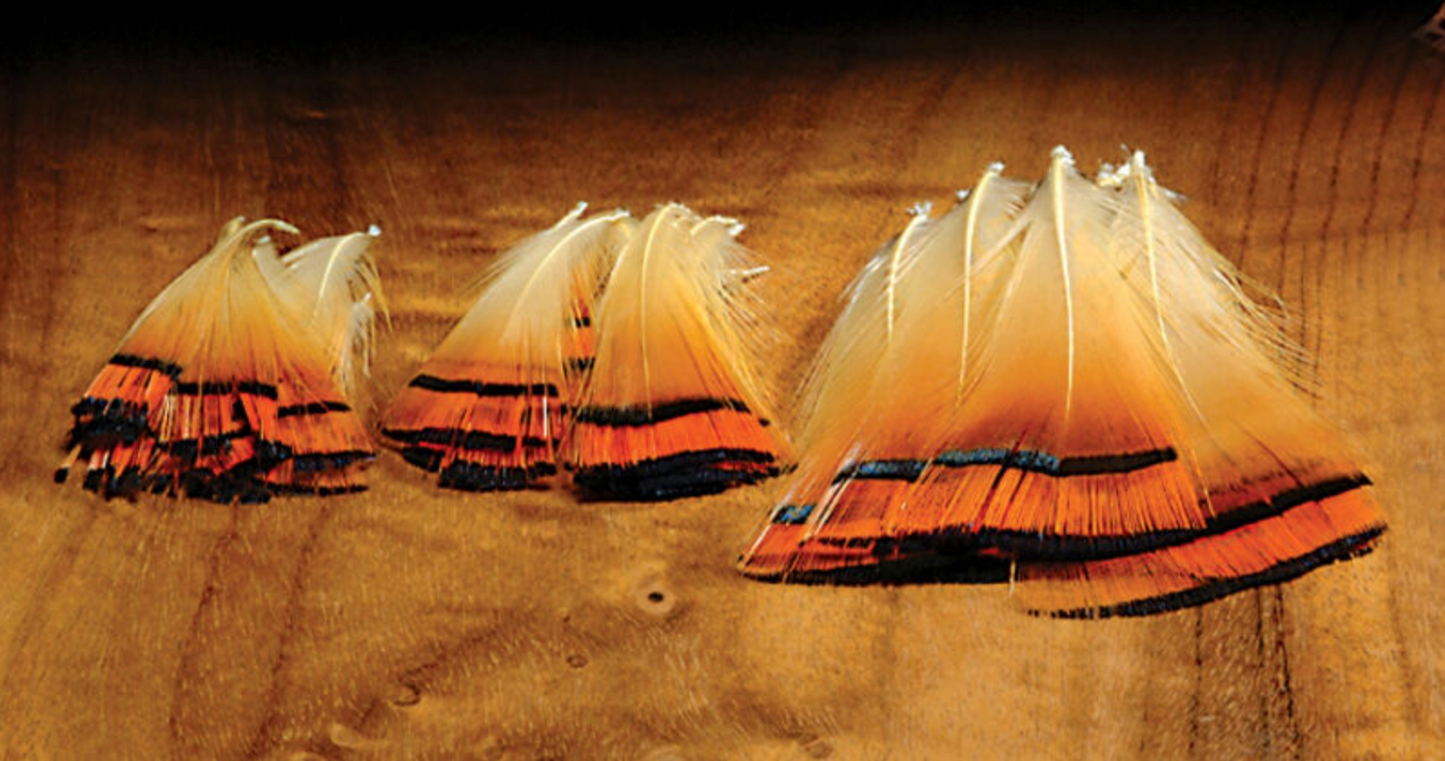 hareline golden pheasant tippets on wood table