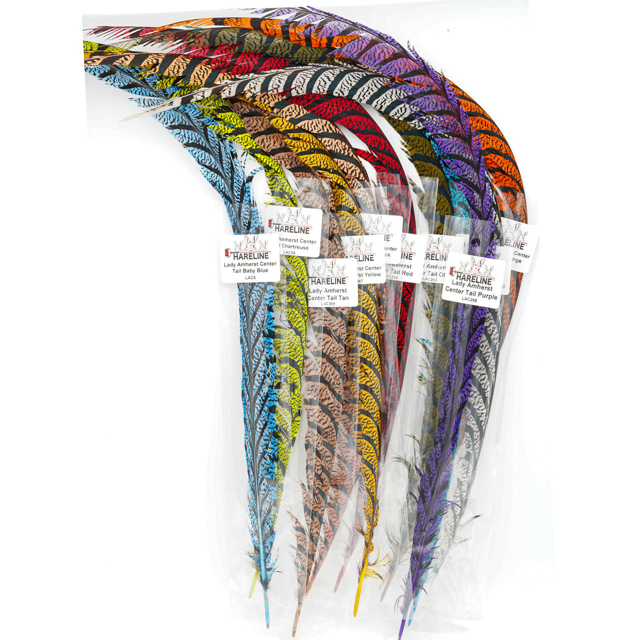 Lady Amherst Center Tail