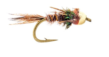 Pheasant Tail