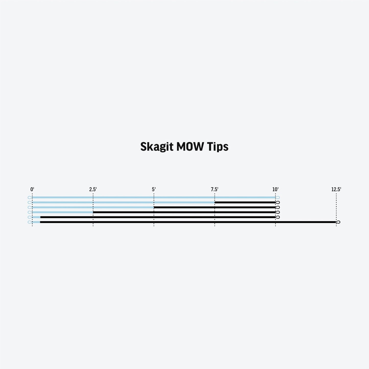Skagit MOW Sink Tip | Rio