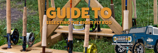 Why Size Does Matter: How to Pick the Right Size Fly Rod