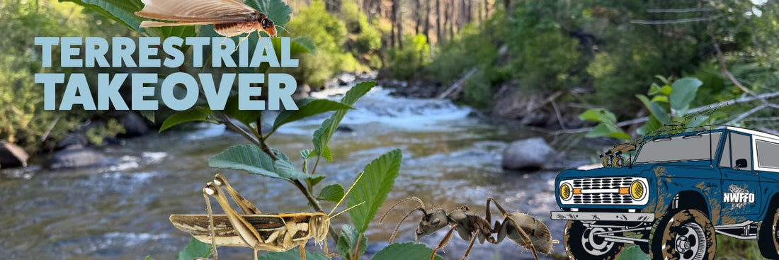 Fly Fishing Terrestrials