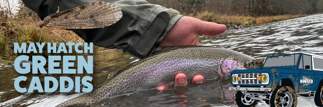 May McKenzie Green Caddis Hatch