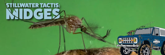 Chironomids