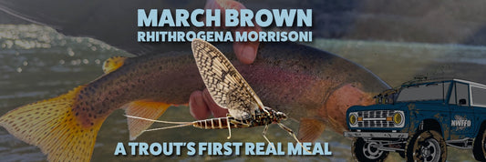 March Browns: A Trouts First Real Meal