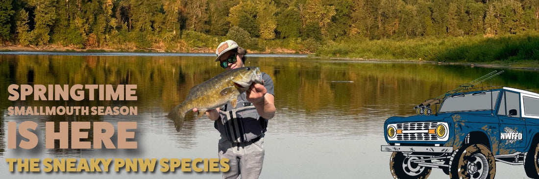 Spring Smallmouth Bass in the Pacific Northwest