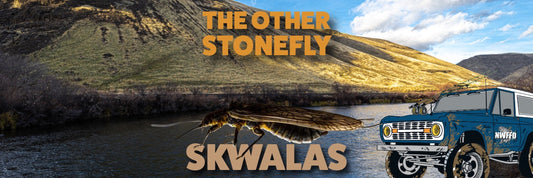Skwalas: The Other Stonefly