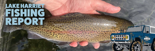 Lake Harriet Fishing Report