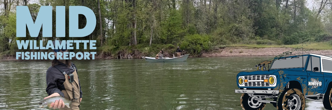 Middle Willamette River Fishing Report