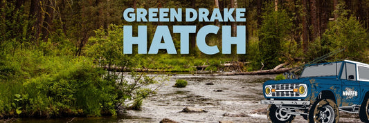 Western Green Drake Hatch