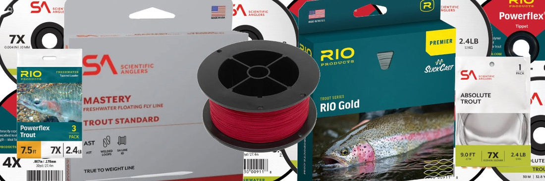 Your Guide to Types of Fly Lines