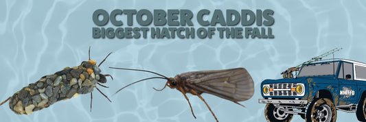 October Caddis Hatch: The Best Fall Dry Fly Fishing in the Pacific Northwest