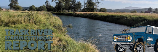 Fly Fishing the Trask River for Searun Cutthroat Trout