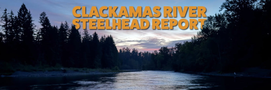Clackamas River Steelhead Fishing Report