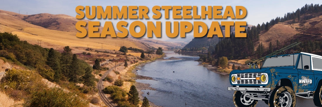 Summer Steelhead Season Updates