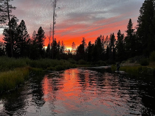 Winter Fly Fishing on the Fall River, Bend Oregon