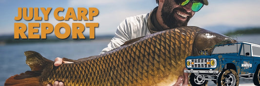 July Carp Fly Fishing Report