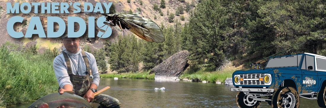 Mother's Day Caddis - Grannom Caddis