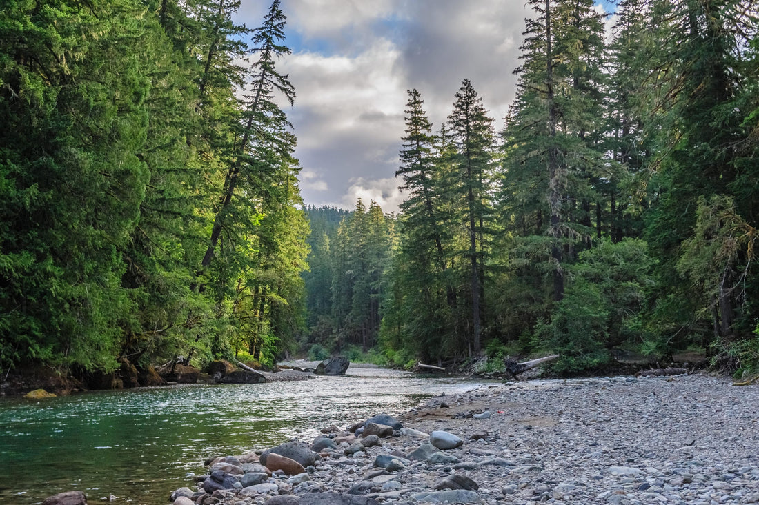 How and Where to Fish For Sea-Run Cutthroat Trout