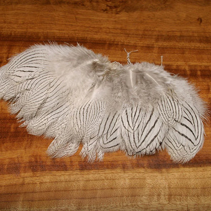 Silver Pheasant Body Feathers