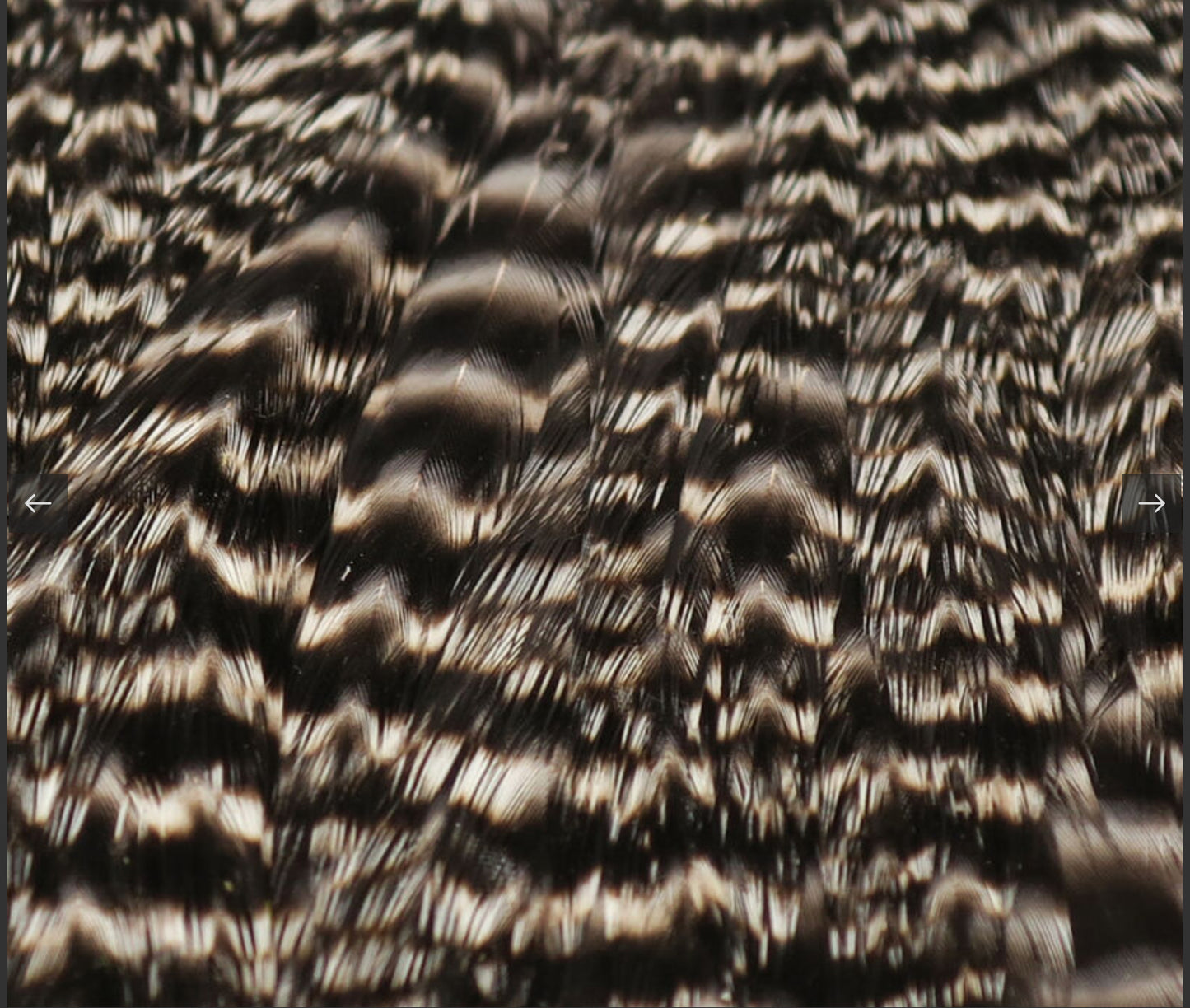 Hareline Hen Cape Grizzly Natural