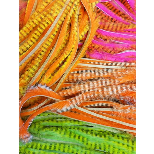 Magnum Tiger Barred Strips