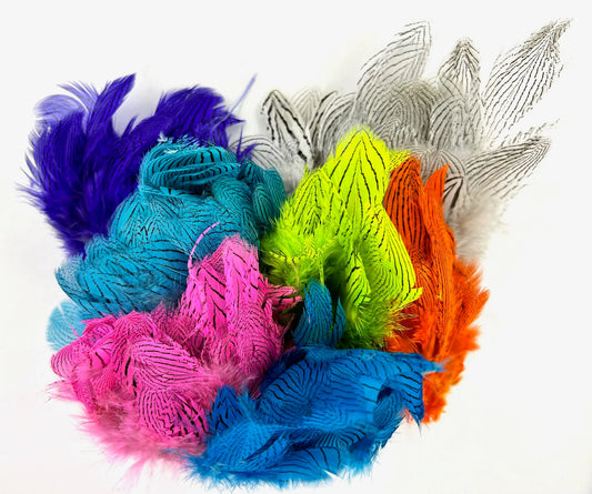 Silver Pheasant Body Feathers