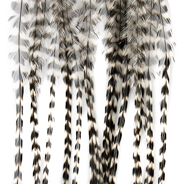 Whiting Dry Fly 100 Pack | MFC