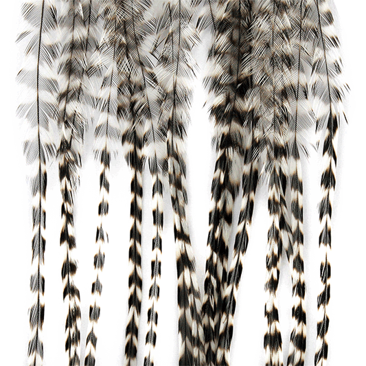 Whiting Dry Fly 100 Pack | MFC