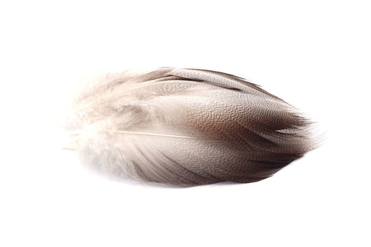 Bronze Mallard | Hareline