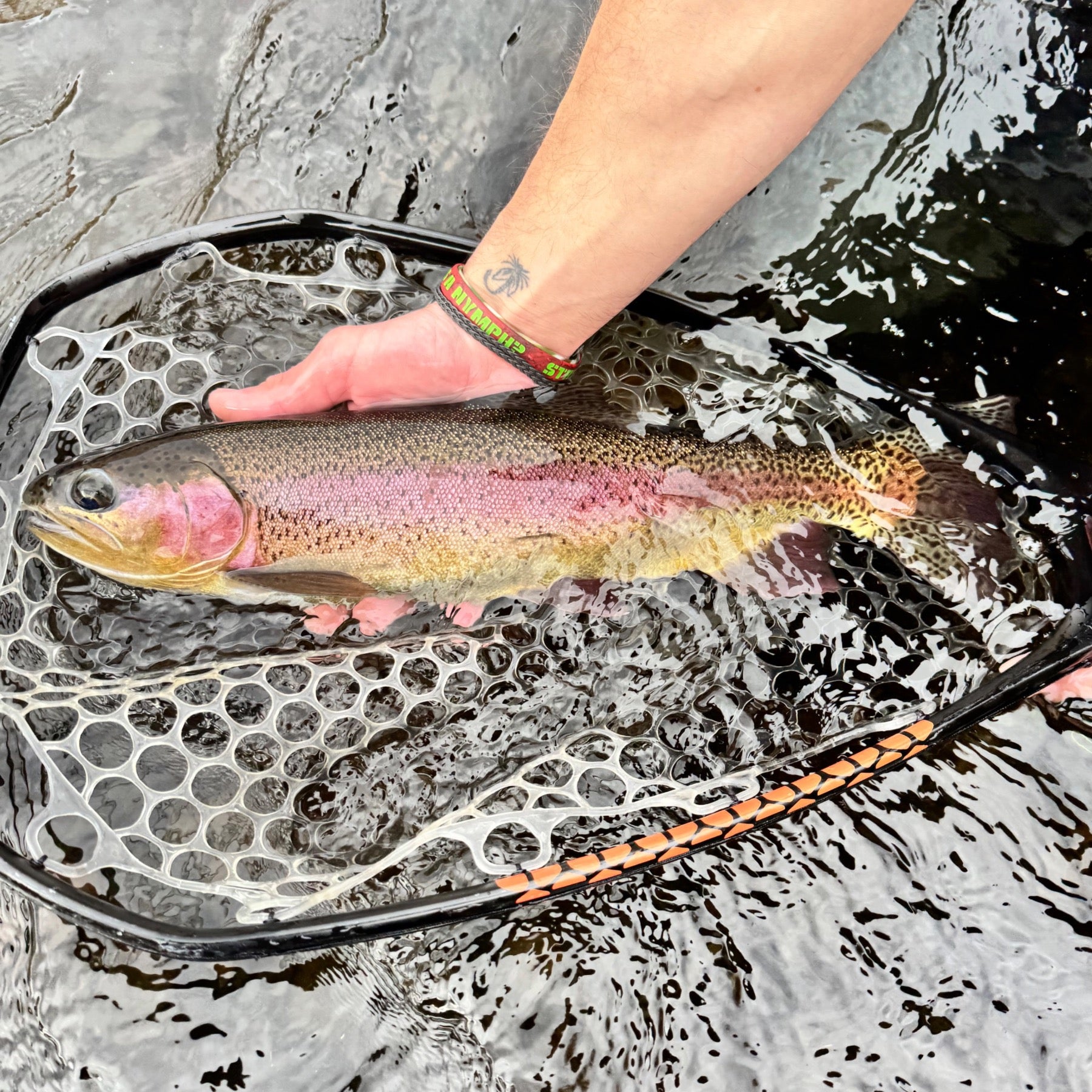 Year-Round Deschutes River Guided Trout Fishing Trip – Northwest Fly Fishing Outfitters