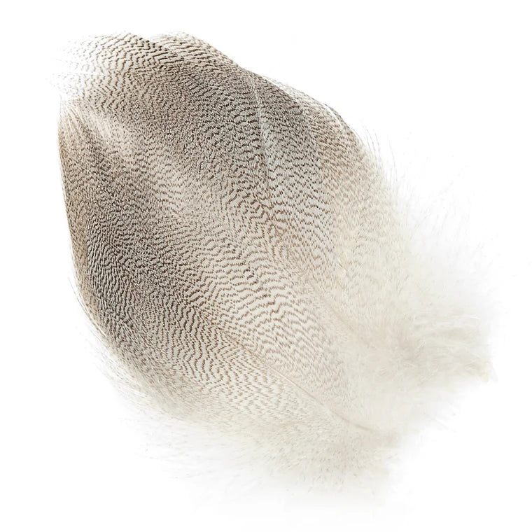 Wapsi Mallard Barred Flank Large