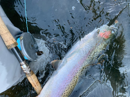 Spey Casting Class (Zach Carothers)
