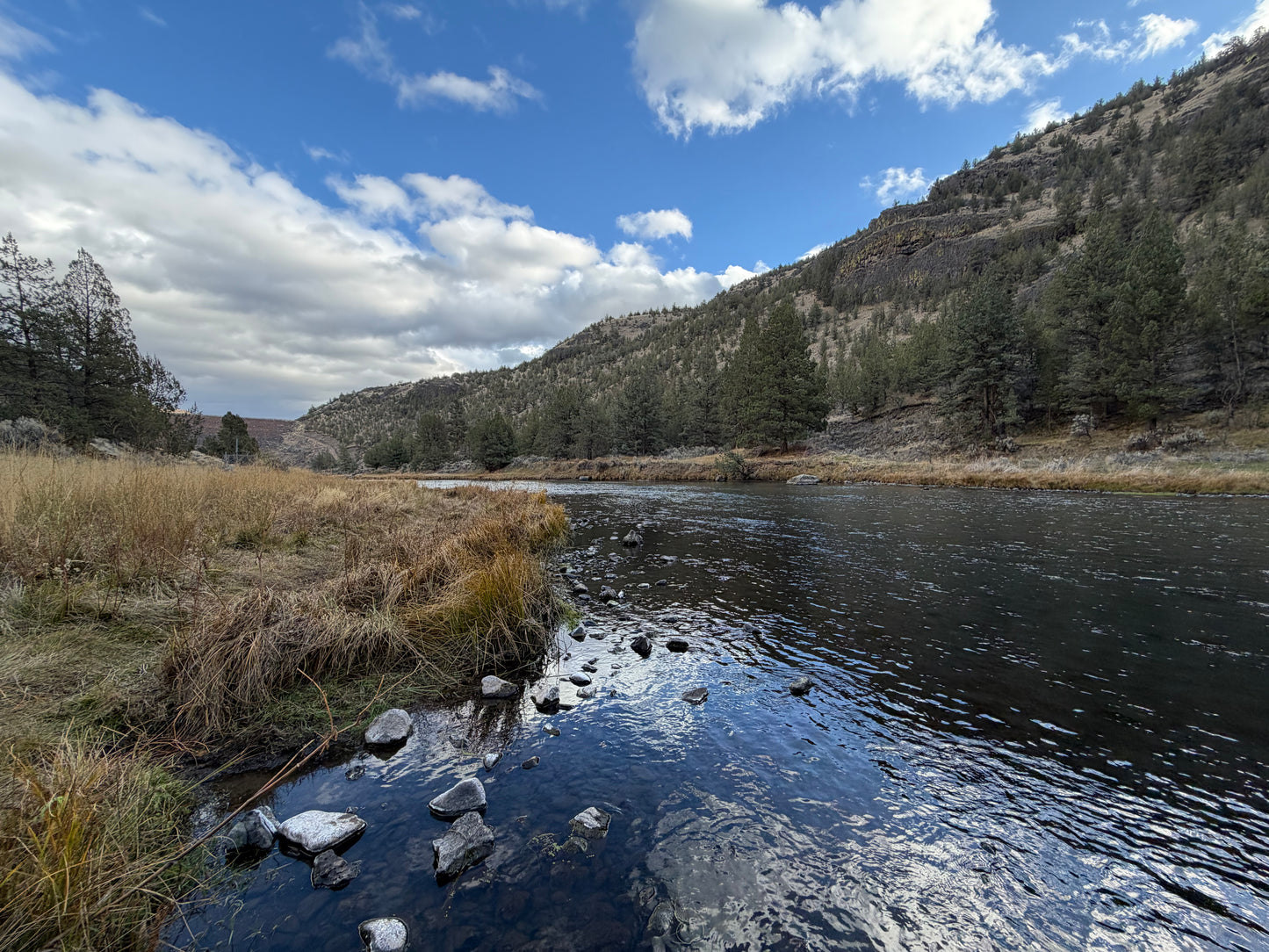 Crooked River Trout Fishing - Year-Round Guided Fly Fishing Trips Oregon