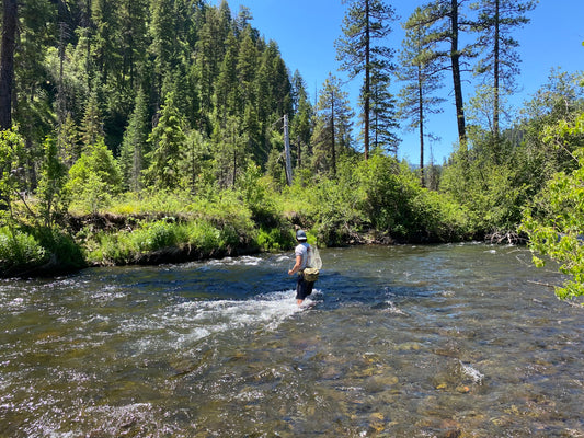 Fly East Guiding Adventures