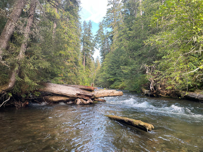 Fly East Guiding Adventures