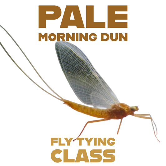 Pale Morning Dun Fly Tying