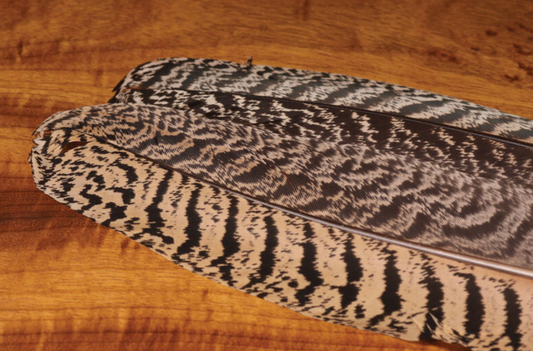 Hareline Mottled Peacock Wing Quill Pair