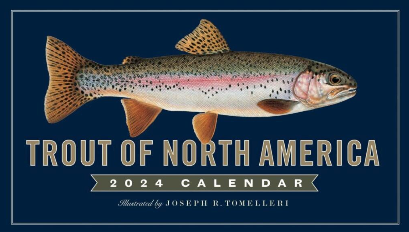 Trout Of North America 2024 Calendar Northwest Fly Fishing Outfitters