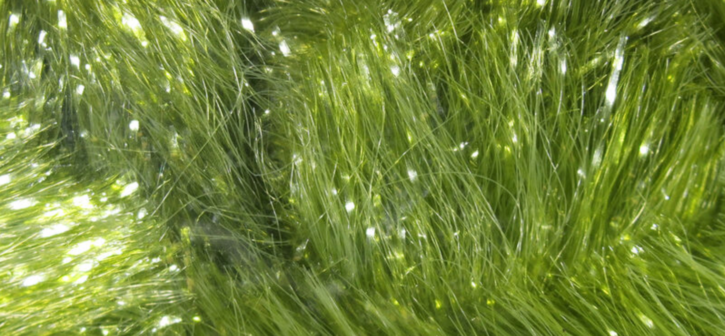 Chocklett's Gamechanger Chenille Olive