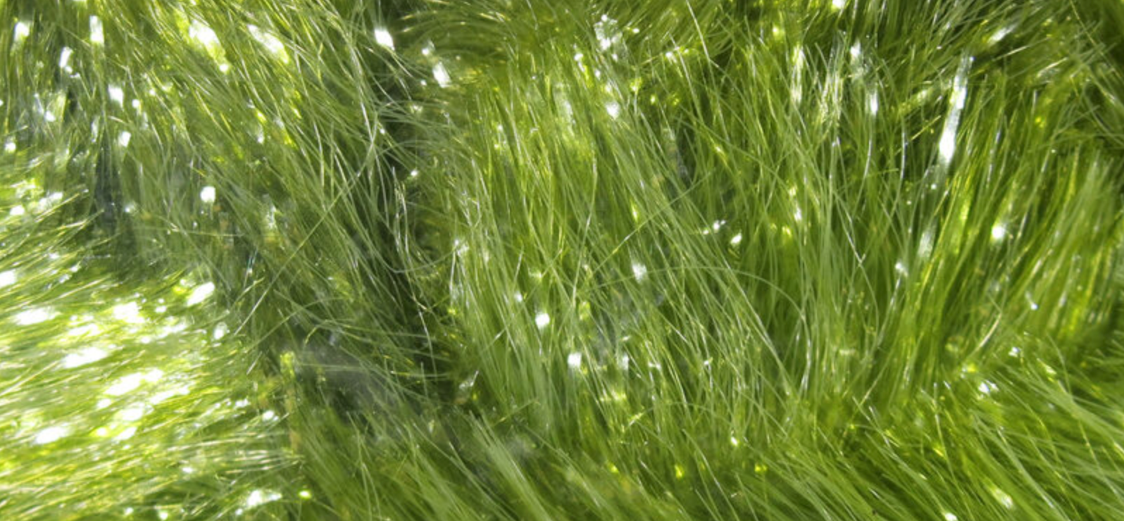 Chocklett's Gamechanger Chenille Olive