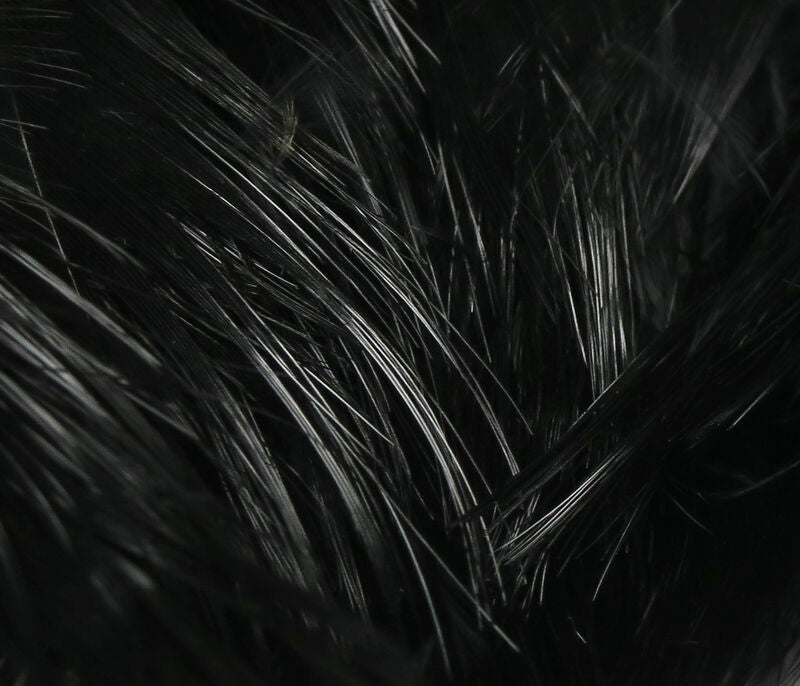 close-up of sleek black Hareline Golden Pheasant Body Feathers with shiny, fine barbs
