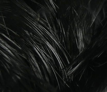 close-up of sleek black Hareline Golden Pheasant Body Feathers with shiny, fine barbs
