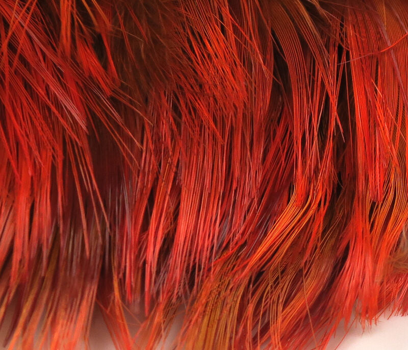 close-up of bright orange Hareline Golden Pheasant Body Feathers showing fine texture and natural sheen