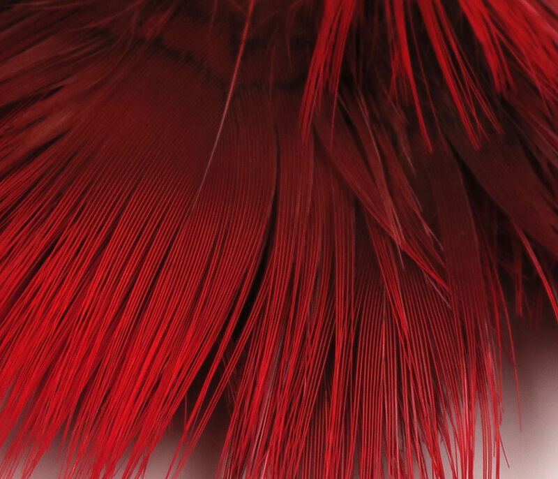 detailed view of deep red Hareline Golden Pheasant Body Feathers highlighting their rich color and delicate structure