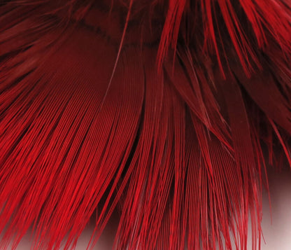 detailed view of deep red Hareline Golden Pheasant Body Feathers highlighting their rich color and delicate structure