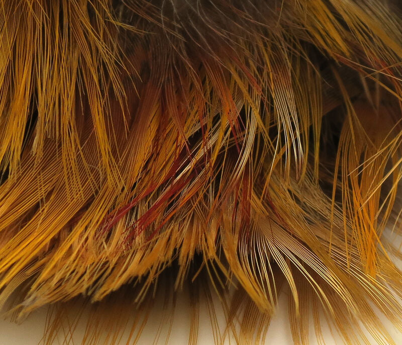 golden yellow and tan Hareline Golden Pheasant Body Feathers with a mix of soft natural tones
